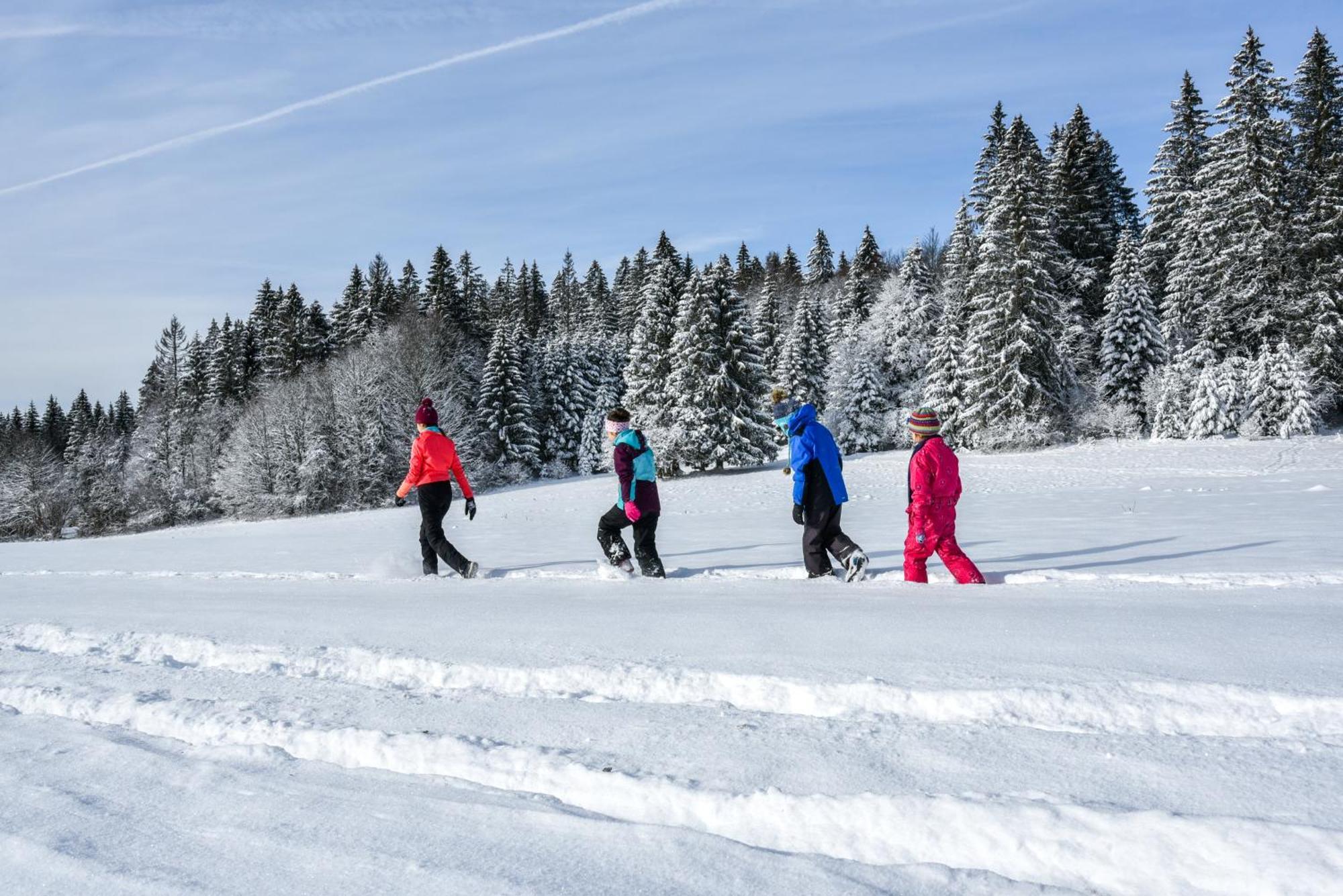 Notre Chalet - Boutique Hotel - En Couple - En Famille - En Groupe Les Fourgs Eksteriør billede